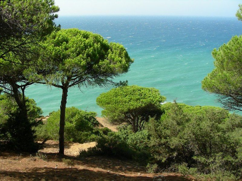 La Aceitera De Trafalgar Barbate Eksteriør billede